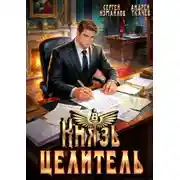 Постер книги Князь Целитель 8