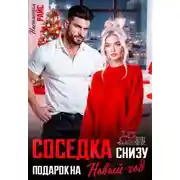 Постер книги Соседка снизу. Подарок на новый год