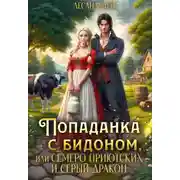 Постер книги Попаданка с бидоном, или семеро приютских и серый дракон