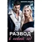 Постер книги Развод в новый год