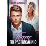 Постер книги Точно по расписанию