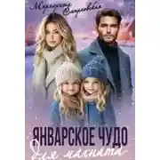 Постер книги Январское чудо для магната