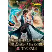 Постер книги Катастрофа для хозяйки, или Дракона на кухню не пускать!