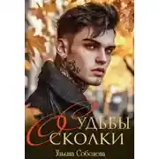 Постер книги Судьбы Осколки