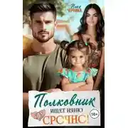 Постер книги Полковник ищет няню. Срочно!