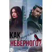 Постер книги Как проучить неверного?