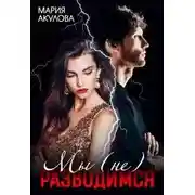 Постер книги Мы (не) разводимся