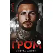 Постер книги Гром