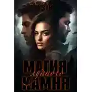 Постер книги Магия лунного камня