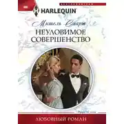 Постер книги Неуловимое совершенство