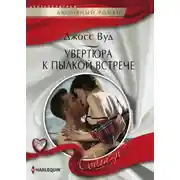 Постер книги Увертюра к пылкой встрече