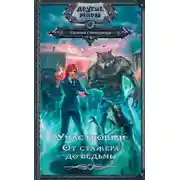 Постер книги От стажера до ведьмы