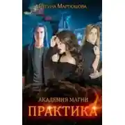 Постер книги Академия магии. Практика (СИ)