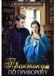 Юлия Созонова - Практикум по привороту или мама-одиночка для двоих (СИ)