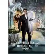 Постер книги Свадьба на Новый год (СИ)