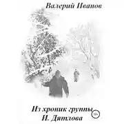 Постер книги Из хроник группы И. Дятлова