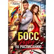 Постер книги Босс. Развод по расписанию