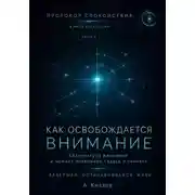 Постер книги Протокол спокойствия в мире перегрузки 3