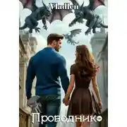Постер книги Проводник