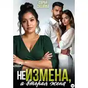 Постер книги Не измена, а вторая жена