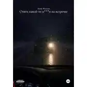 Постер книги Опять какой-то м***к на встречке