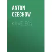 Постер книги Kameleon