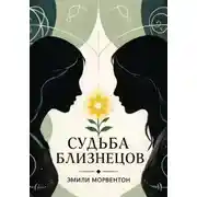 Постер книги Судьба близнецов: Мир ада и рая