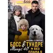 Постер книги Босс в тундре. Минус сорок и без плана Б