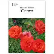 Постер книги Стихи