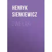 Постер книги Dwie łąki