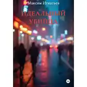 Постер книги Идеальный убийца