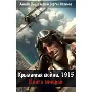 Постер книги Крылатая война 1915. Книга 2