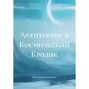 Постер книги Архитектор и Космический Кролик