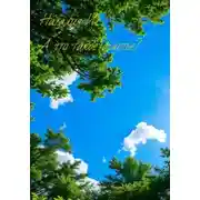 Постер книги А что такое счастье?