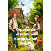 Постер книги Курьезные истории из жизни одной семьи
