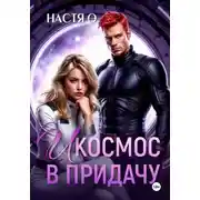 Постер книги И космос в придачу