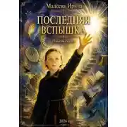 Постер книги Последняя вспышка