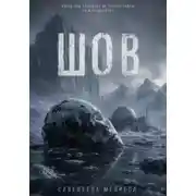 Постер книги Шов