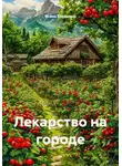 Война Владимир - Лекарство на городе