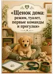 Анна Бережина - Щенок дома: режим, туалет, первые команды и прогулки