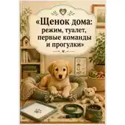 Постер книги Щенок дома: режим, туалет, первые команды и прогулки