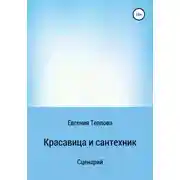 Постер книги Красавица и сантехник