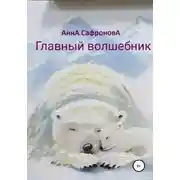 Постер книги Главный волшебник