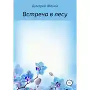 Постер книги Встреча в лесу