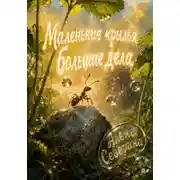 Постер книги Маленькие крылья, большие дела