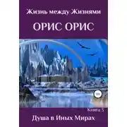 Постер книги Душа в иных Мирах