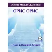 Постер книги Душа в Высших Мирах