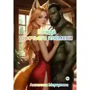Постер книги Вождь орочьего племени