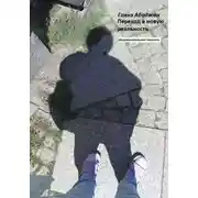 Постер книги Переход в новую реальность