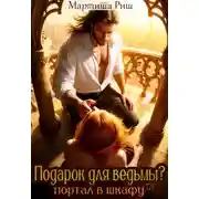 Постер книги Подарок для ведьмы. Портал в шкафу